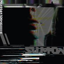 SUUMHOW  - VINYL YEARS FAILED SUCCESSFULLY [VINYL]