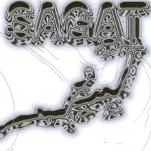 SAGAT  - 2xVINYL SILVER LINING [VINYL]