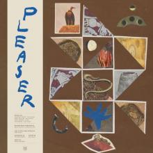 PLEASER  - VINYL PLEASER [VINYL]