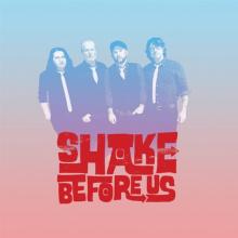 SHAKE BEFORE US  - SI PUT IT ON YOUR MIND/EARTHSHAKE /7