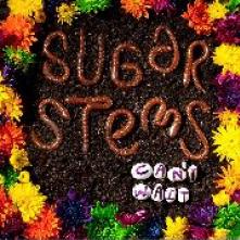 SUGAR STEMS  - VINYL CAN'T WAIT [VINYL]