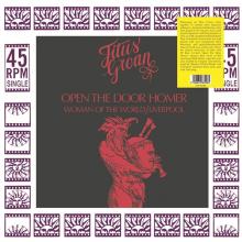  OPEN THE DOOR HOMER [VINYL] - suprshop.cz