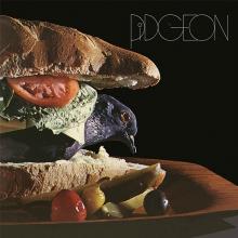 PIDGEON  - CD PIDGEON