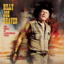 SHAVER BILLY JOE  - VINYL ONE NIGHT AT L..