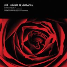  SOUNDS OF LIBERATION [VINYL] - supershop.sk