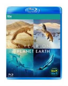  YEAR ON PLANET EARTH [BLURAY] - suprshop.cz