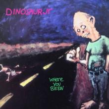 DINOSAUR JR  - VINYL WHERE YOU BEEN..