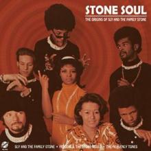 SLY AND THE FAMILY STONE  - VINYL STONE SOUL [VINYL]