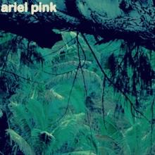 ARIEL PINK  - VINYL ODDITTIES SODOMIES VOL.3 [VINYL]