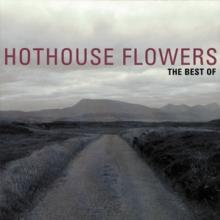 HOTHOUSE FLOWERS  - CD BEST OF