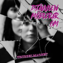  TRUBBELMAGNET [VINYL] - supershop.sk