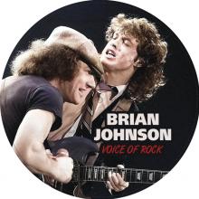  VOICE OF ROCK (7 INCH PIC VINYL) - supershop.sk