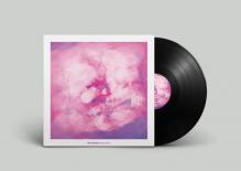  WAVE CANNON [VINYL] - suprshop.cz