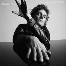  DEAR LIFE LP [VINYL] - suprshop.cz