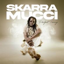 SKARRA MUCCI  - CD PERFECT TIMING