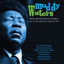 WATERS MUDDY  - VINYL HOLLYWOOD BLUE..