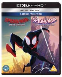  SPIDER-MAN: ACROSS THE SPIDER-VERSE/INTO - supershop.sk