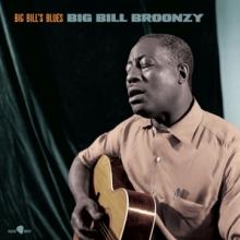  BIG BILL'S BLUES [VINYL] - suprshop.cz