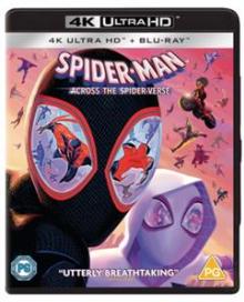  SPIDER-MAN: ACROSS THE SPIDER-VERSE [BLURAY] - suprshop.cz