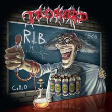  R.I.B. [VINYL] - suprshop.cz