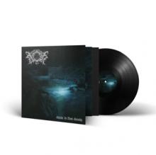  SUICIDE IN DARK SERENITY [VINYL] - suprshop.cz