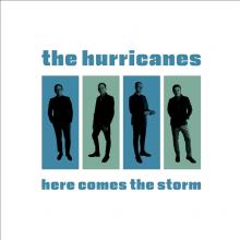  HERE COMES THE STORM [VINYL] - suprshop.cz