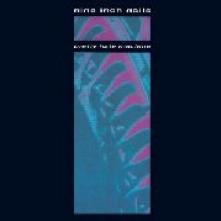  PRETTY HATE MACHINE [VINYL] - supershop.sk