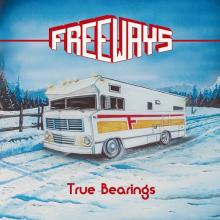  TRUE BEARINGS [VINYL] - supershop.sk