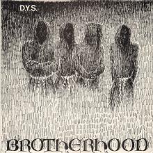 D.Y.S.  - VINYL BROTHERHOOD [VINYL]