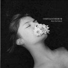  CHRYSANTHEMUM [VINYL] - suprshop.cz