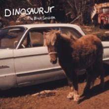 DINOSAUR JR.  - VINYL THE BLACK SESSION [VINYL]