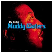  BEST OF MUDDY WATERS [VINYL] - suprshop.cz