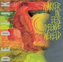 DE DIJK  - VINYL WAKKER IN EEN ..