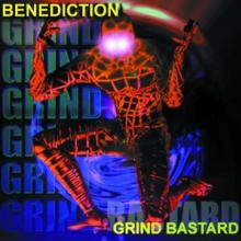  GRIND BASTARD [VINYL] - supershop.sk