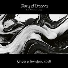 DIARY OF DREAMS  - VINYL UNDER A TIMELESS SPELL [VINYL]