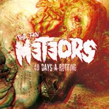 METEORS  - CD 40 DAYS A ROTTING