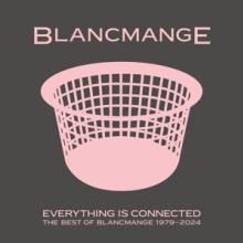 BLANCMANGE  - VINYL EVERYTHING IS ..