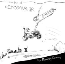 DINOSAUR JR.  - VINYL EAR BLEEDING COUNTRY [VINYL]