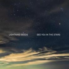  SEE YOU IN THE STARS [VINYL] - suprshop.cz