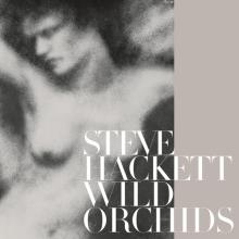 HACKETT STEVE  - 2xVINYL WILD ORCHIDS -HQ- [VINYL]