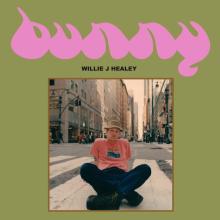 HEALEY WILLIE J.  - VINYL BUNNY [VINYL]