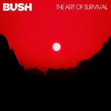 Bush  - VINYL Bush: The Art ..