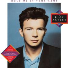 ASTLEY RICK  - VINYL HOLD ME IN YOU..