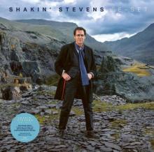 STEVENS SHAKIN'  - VINYL RE-SET [VINYL]