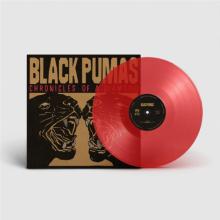 BLACK PUMAS  - VINYL CHRONICLES OF A DIAMOND [VINYL]