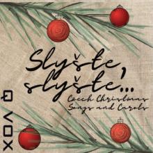 Q VOX / KRCEK JAROSLAV  - CD SLYSTE SLYSTE….