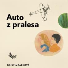 STEINMASSLOVA MILENA  - CD MRAZKOVA: AUTO Z PRALESA (MP3-CD)