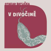 MATASEK DAVID  - CD BATLICKA: V DIVOCINE (MP3-CD)