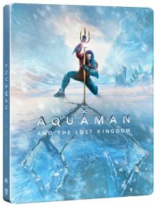  AQUAMAN A ZTRACENE KRALOVSTVI BD+DVD (COMBO PACK) [BLURAY] - supershop.sk