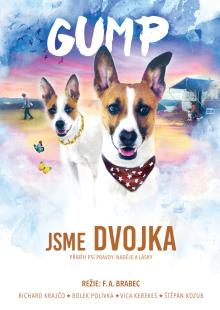 FILM  - DVD GUMP - JSME DVOJKA